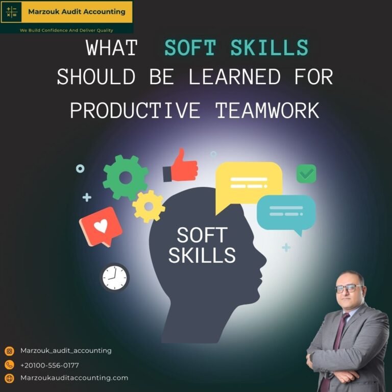Auditor Soft competences series
