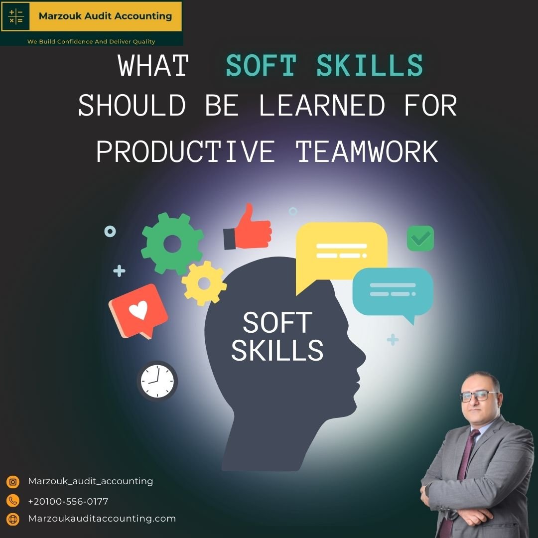 Auditor Soft competences series