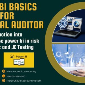 Power Bi Basics For External Auditors
