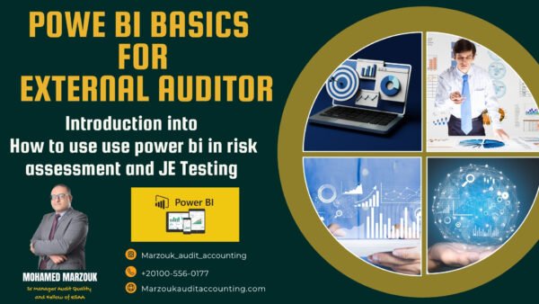 Power Bi Basics For External Auditors